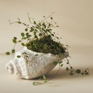 Anthropologie Seascape Cement Vessel / Planter - cream